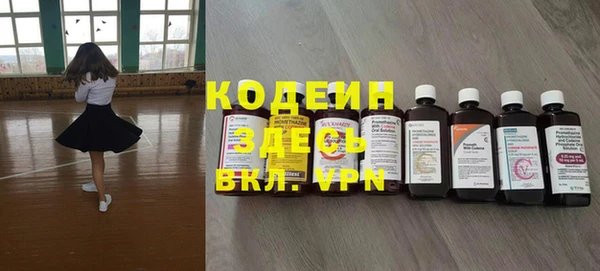 спиды Пересвет