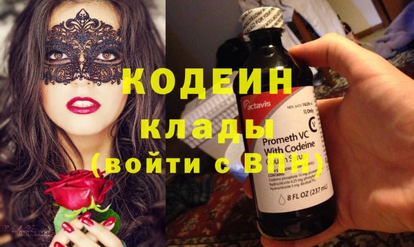 спиды Пересвет