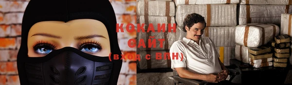 спиды Пересвет