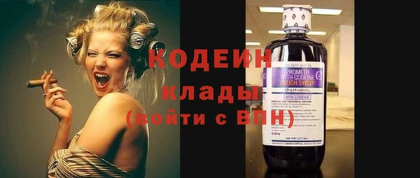 спиды Пересвет