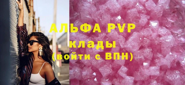 спиды Пересвет