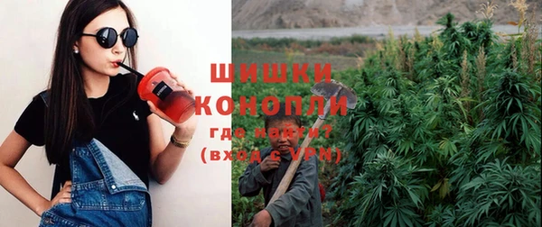 спиды Пересвет