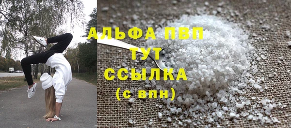 спиды Пересвет